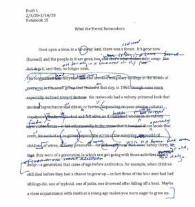 What the Forest Remembers - Jennifer Egan